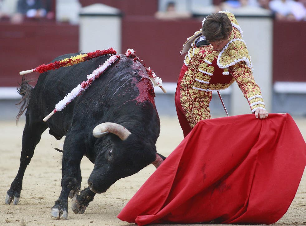 Bullfighting banned in Spain after bull named 'Nigerian', 'Feminist' were killed