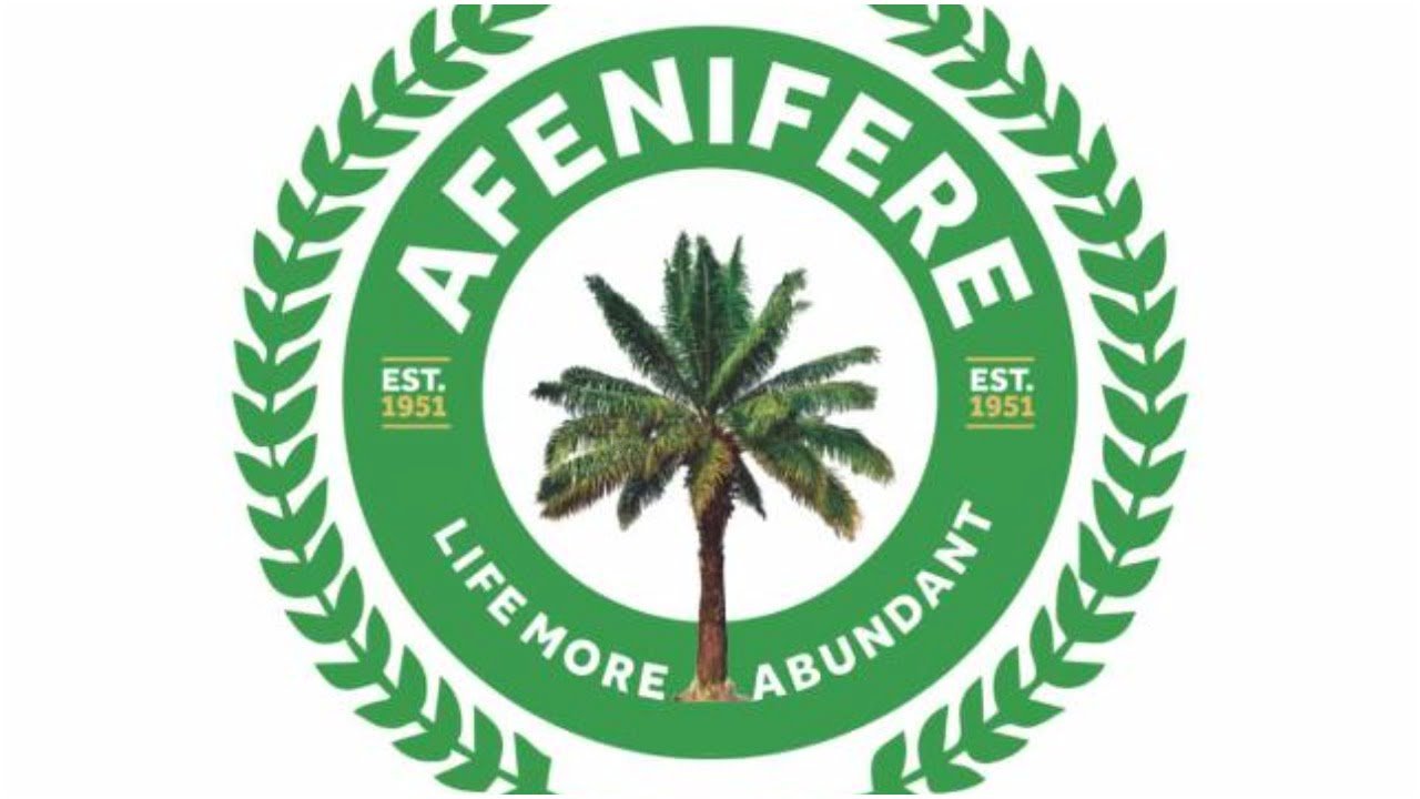 2023: Southern Nigeria has qualified people as president - Afenifere dismisses Northern elders' position