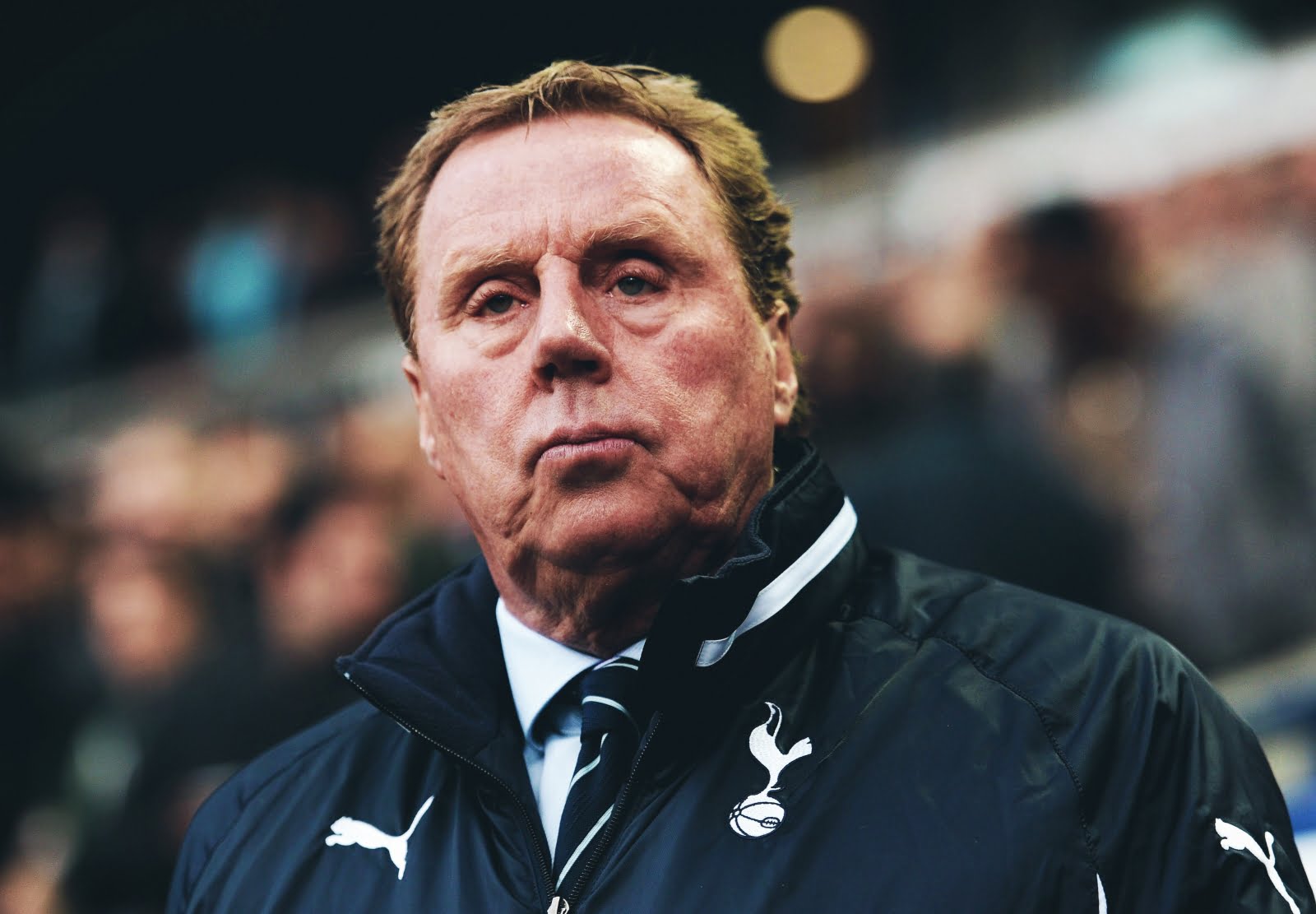 EPL: Harry Redknapp names player to finish as top scorer in Premier League this season