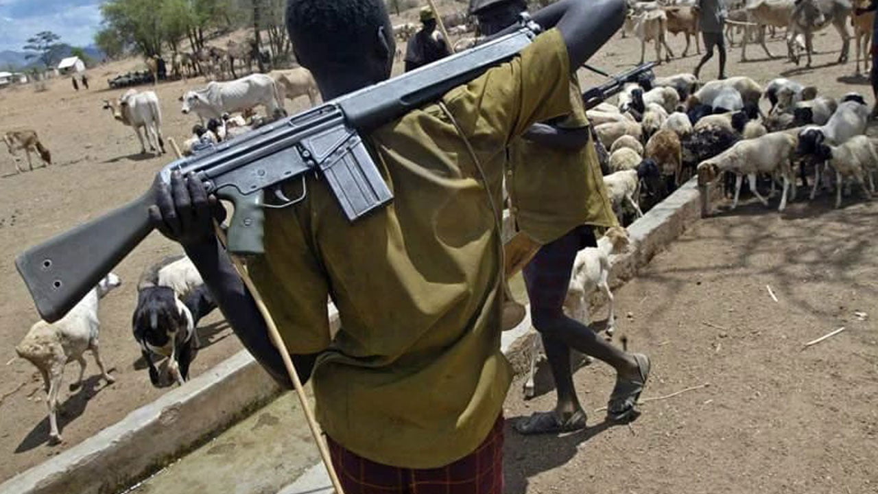 Suspected herdsmen abduct ABSU students, kill one, shoot three others in Okigwe