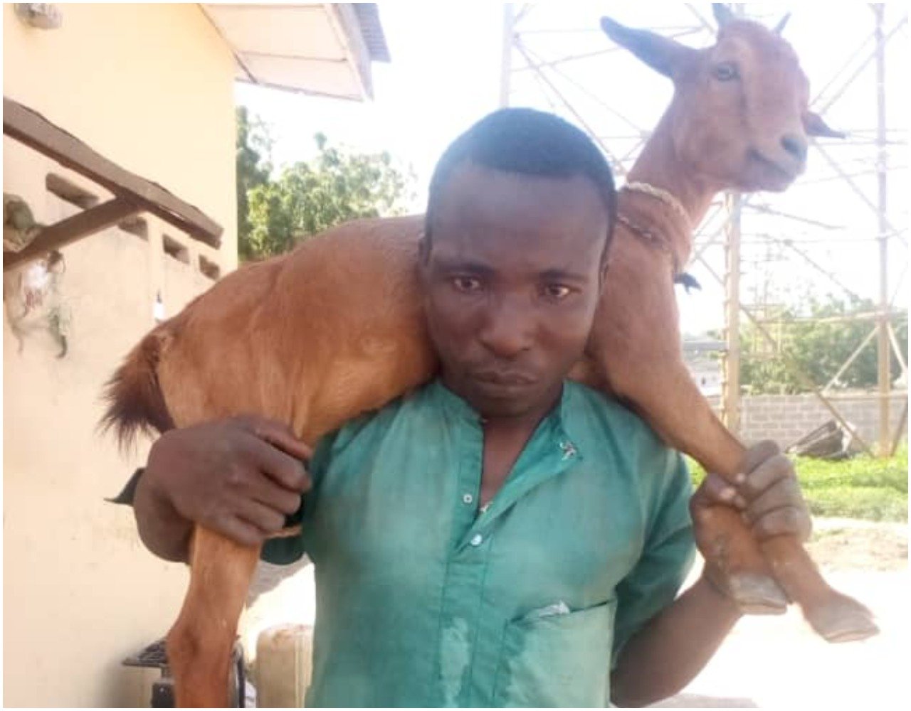 Man arrested for alleged goat theft in Kwara