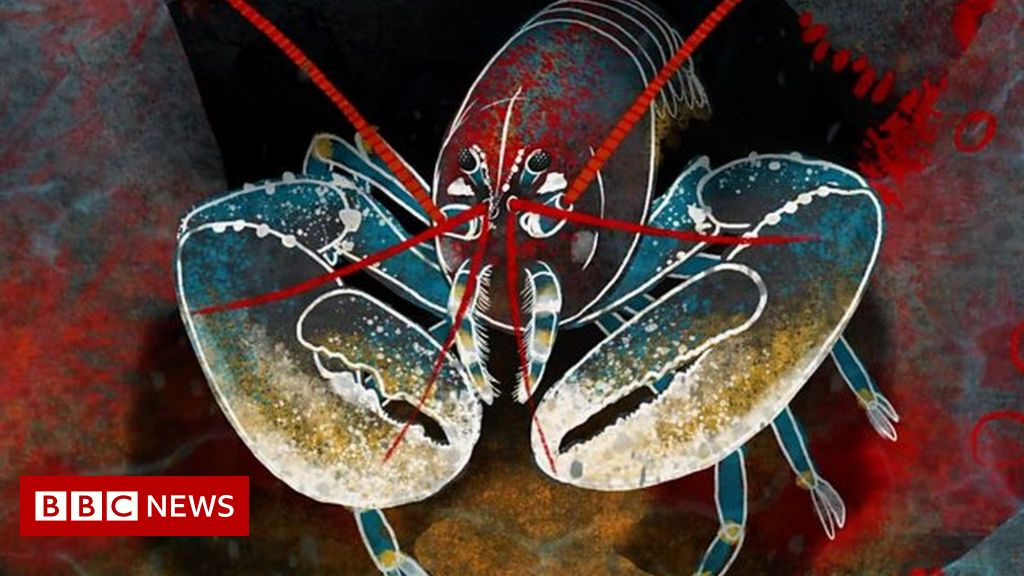 The space telescopes inspired by lobsters