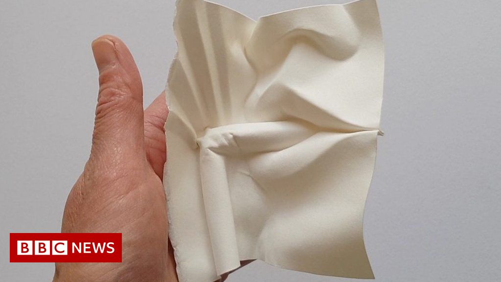 Art: 'People amazed I fold paper for a living, then they see it'