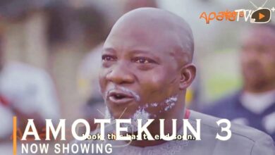 Amotekun 3 Latest Yoruba Movie 2021 Drama Starring Sanyeri | Ibrahim Yekini | Smally | Laide Bakare