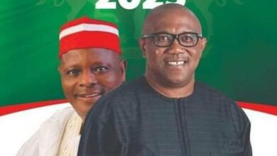 2023: Campaign poster of Peter Obi as President, Kwankwaso as running mate emerges [PHOTO]