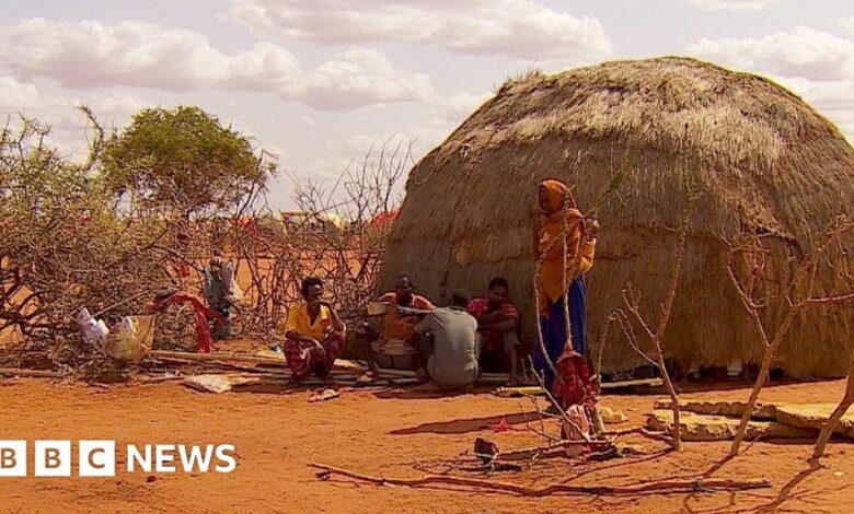 Drought's devastating toll on Somalia's children