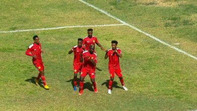 Ethiopian Premier League | Addis v H Hosaina | Highlights