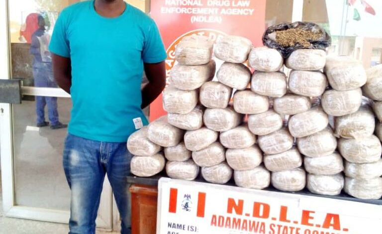 NDLEA intercepts 2.75m Tramadol tabs, London, Dubai-bound drugs in Lagos
