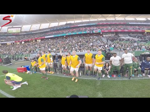 We put a GoPro on our cameraman for the third Springboks vs Wales Test 📹