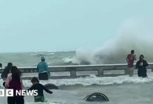 Florida braces as Hurricane Ian approaches