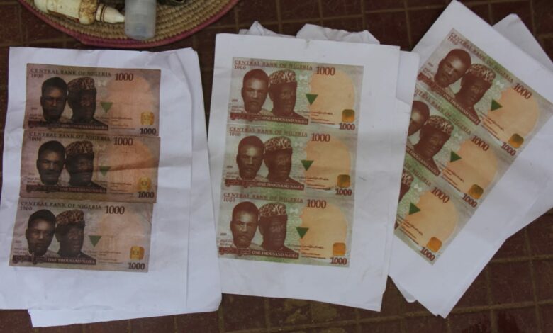 Police arrest three suspects for possessing, producing fake naira notes in Bauchi