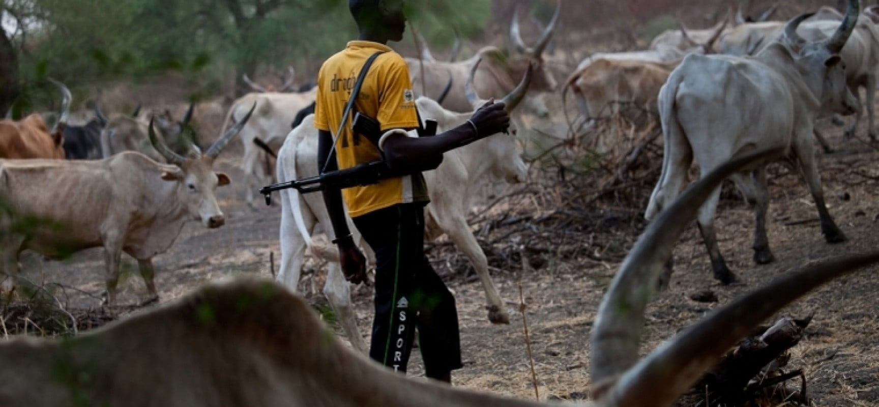 Plateau: Despite curfew, suspected herdsmen kill six in Bassa, Jos North