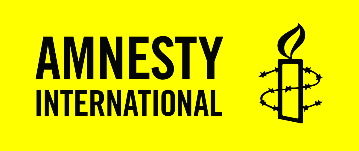 Accidental Air Strike: Amnesty International tells FG to probe military